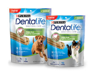 quikly dentalife