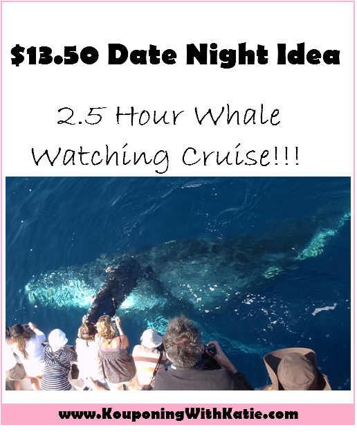 whale-watching-1350