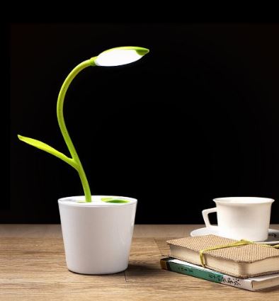 plant-lamp