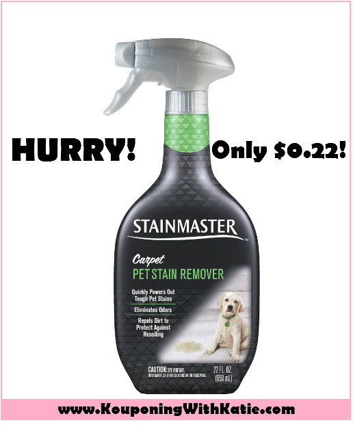 Stainmaster Carpet Pet Stain Remover, Just 0.22!!!! Kouponing With Katie