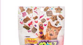 KMart’s NEW Freebie, Available To Load Today Only!!!