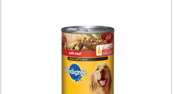 KMart’s NEW Freebie, Available To Load Today Only!!!