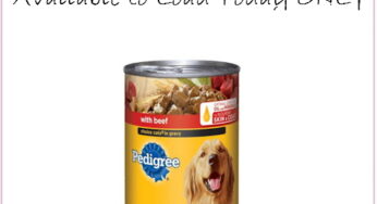 KMart’s NEW Freebie, Available To Load Today Only!!!