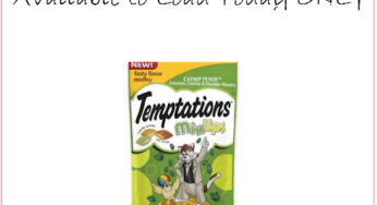 KMart’s NEW Freebie, Available To Load Today Only!!!