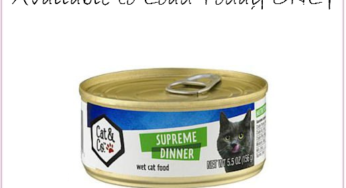 KMart’s NEW Freebie, Available To Load Today Only!!!