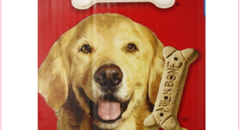 10 Pounds Of Milk Bone Dog Treats, Just $10.49 Delivered!