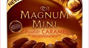 Stock Up On $1.50 Magnum Mini Ice Cream Bars At Target!!!