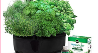 TODAY ONLY, $300 AeroGarden For $179; Grow Herbs Year Round, No Sunlight Needed!!!