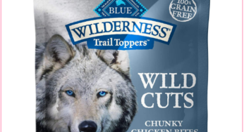 $25.86 Blue Buffalo Dog Trail Toppers Wet Dog Food Case With Amazon Sale (Reg $58)!!!