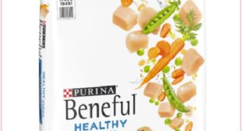 $1.27 Beneful Dog Food Bags With Double Stack At Target!!!