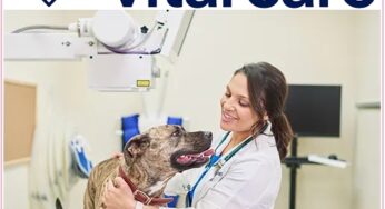 $19 Petco’s Vital Care Grooming & Vet Visit Service!!!