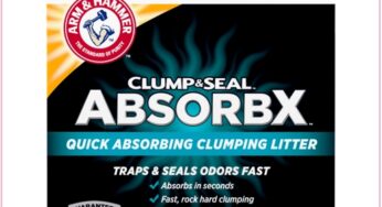 $6.97 Arm & Hammer AbsorbX Cat Litter At Walmart (Reg $13)!!!