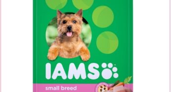 $11.89 Large 15lb Iams Dog Food At Target With Stacking Deal (Reg $20)!!!