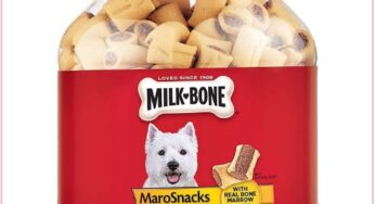 $6 Milk-Bone MaroSnacks Dog Treats Tub (Reg $12)!!!