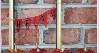 FREE $10 In Fall Decor Products From Dollar Tree!!!