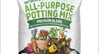 $2.99 Back To The Roots Natural & Organic Potting Soil At Target!!!