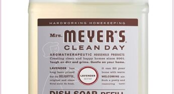 Back In Stock! Mrs. Meyer’s Giant Clean Day Dish Soap Refill (33oz!), Just $5.00 Delivered!!!