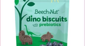 HOT DEAL!!! $1.98 BeechNut Dino Biscuits w/Prebiotics At Walmart!!!