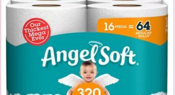 Angel Soft Toilet Paper, Just $0.16 Per Regular Roll, Delivered!!!
