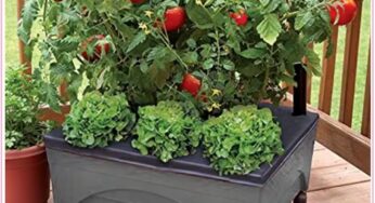 $27.97 Outdoor Patio Raised Garden Beds From Home Depot; Perfect For Any Home Space!!!