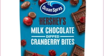 $1.39 Ocean Spray Chocolate Covered Cranberry Bites At Walmart!!!