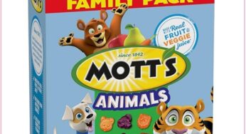 Grab This CASE Of 40 Welch’s Fruit Snacks For Just $5.18 Delivered!!!