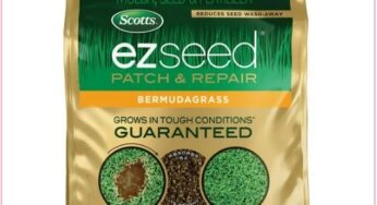 $35.50 Scotts EZ Seed Patch & Repair Bermudagrass (Reg $70)!!!