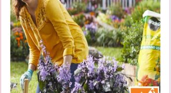 HOT DEAL!!! $20 Off At Home Depot; Perfect For Decor, Gardening, & Home Improvement Deals!!!