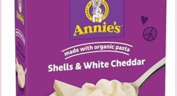 GREAT Price! Grab Annie’s Organic Cheesy Shells For $0.82 (Reg $3)!!!