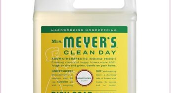 Back In Stock! Mrs. Meyer’s Giant 48oz Dish Soap Refill, Just $7.47!!!