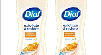 Grab $2.72 Dial Body Wash With Hot New Stacking Deal!!!