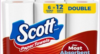 Scott Fast Absorbing Paper Towels, Just $4.78, Delivered!!!
