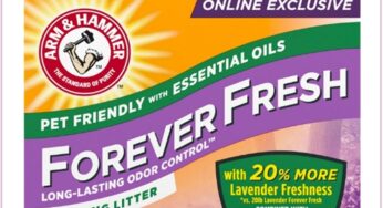 Arm & Hammer Forever Fresh Clumping Cat Litter 18lb Just $6.31 Delivered (Reg $16)!!!