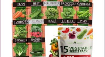 15 Heirloom Veggie Seed Varieties Bundle Set, Just $9.99 Limited Time Deal!!!