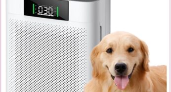 $140 Honeyuan HEPA Filter Air Purifier, Just $44.99 With HOT Amazon Savings!!!